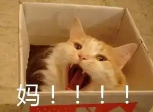 我的名字不叫大师