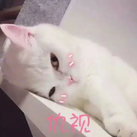 表情包总是跟我聊天聊聊聊的,聊出感情你负责嘛