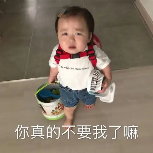 涛班底现在是只知道导演和制作公司吗