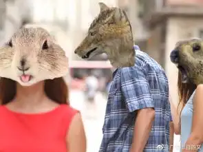 啊啊啊啊啊啊啊啊啊