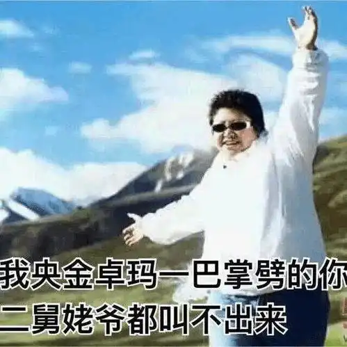 这辈子不可能打工的