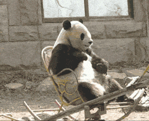 搞笑gif趣图现在刷墙都要会书法的吗