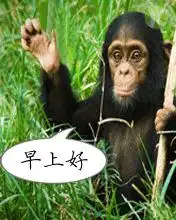 qq表情在哪个文件里