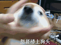 测试一个超长简介的文章