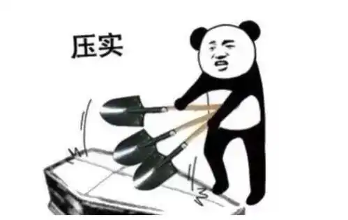 爆笑段子家里养了一只荷兰猪,这只猪特别喜欢在家里跑来跑去