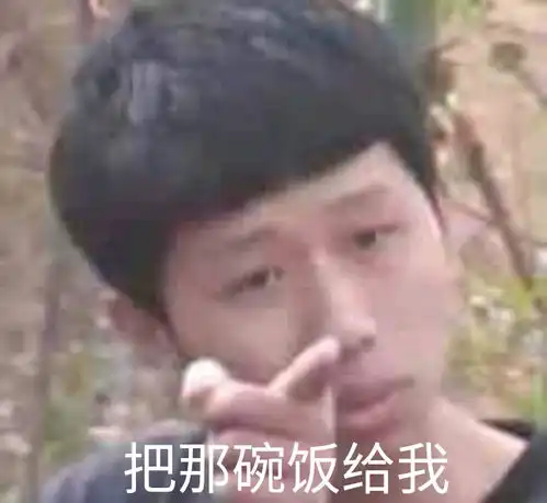把那碗饭给我王境泽把那碗饭给我沙雕情头情侣头像表情