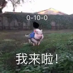 热门表情包,你忙吧,我打游戏了