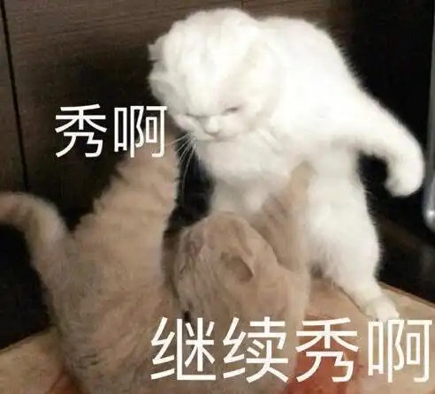 你听我解释,我考上的那个,真不是野鸡大学,哈哈哈