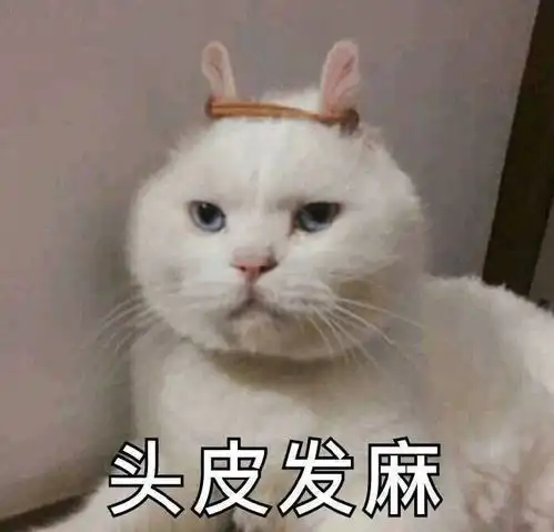 头皮发麻猫咪表情包猫咪头皮发麻表情