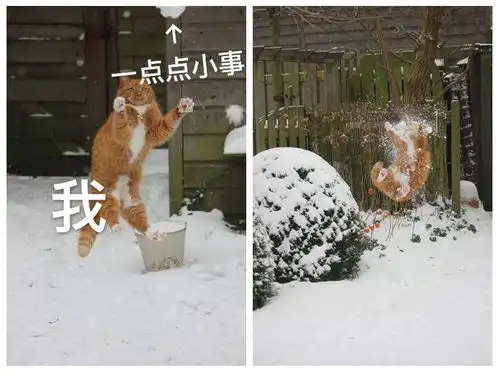 表情图