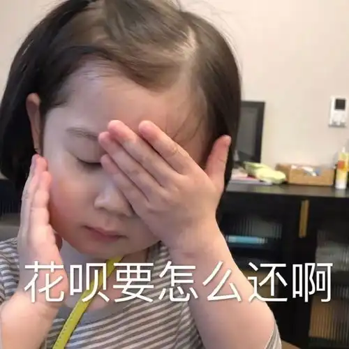 新年花呗轻松还认清不良校园贷新马甲