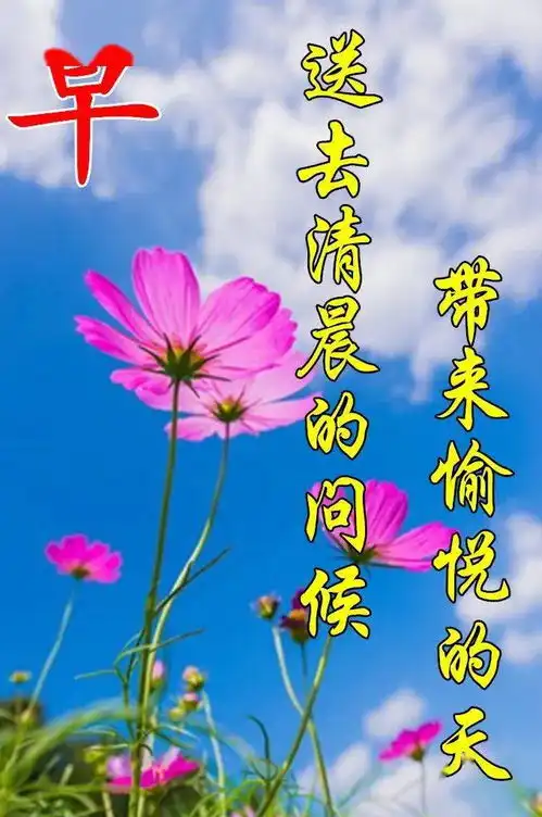 最漂亮早上好动态表情图片大全,早晨好动图美图大全