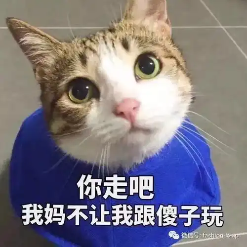 周迅刘雯春夏登封面moschino春夏秀fendi推出合作款