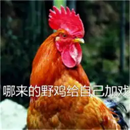 2017鸡年斗图表情包,鸡表情包