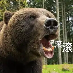 表情包我感到压力很大,委屈巴巴看着你