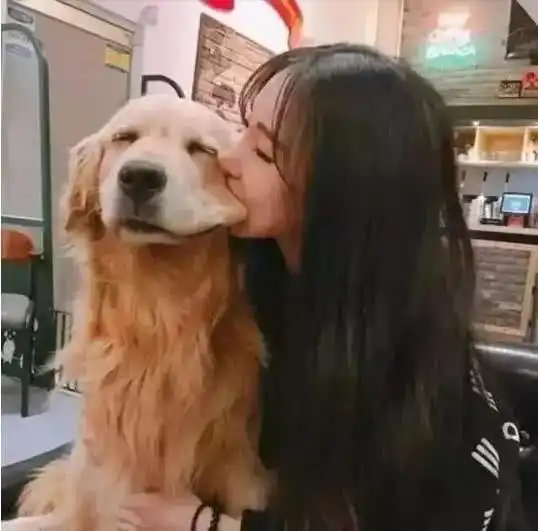 线条小狗亲亲表情包