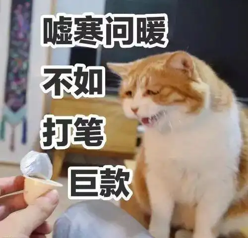 测试一个超长简介的文章