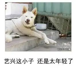 11区连个科普书都能如此工口