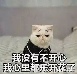 离秋裤还有一个小幅降温的距离