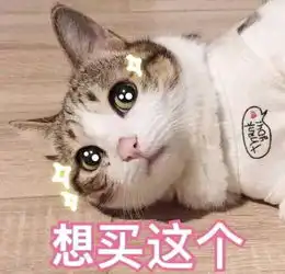 猫咪表情包劳资的心,收好