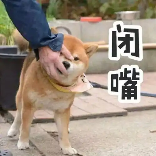 斗图小表情9.15
