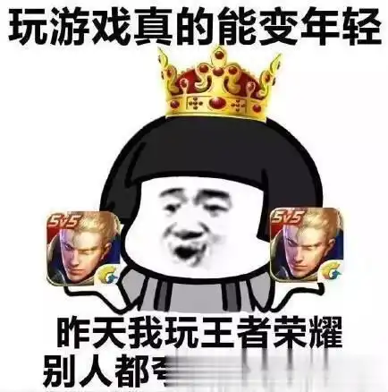 王者荣耀盘点一下峡谷中比较好玩的套路组合整理向