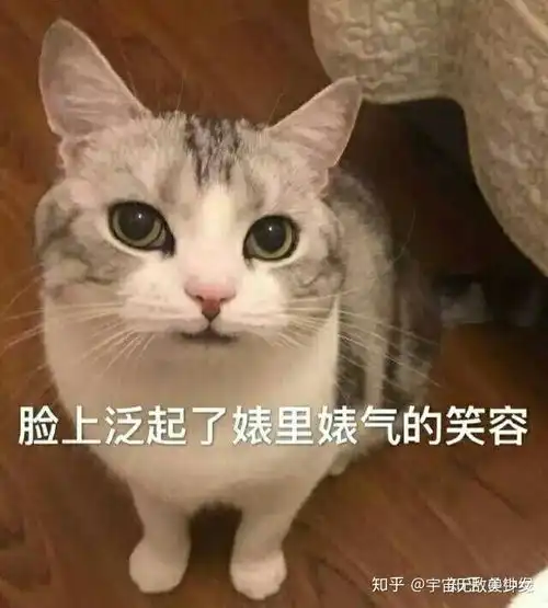 你有哪些非常搞笑的表情包
