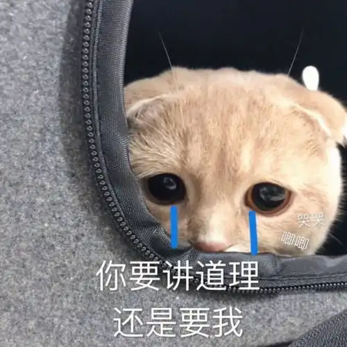 表情包猫猫表情委屈到自闭