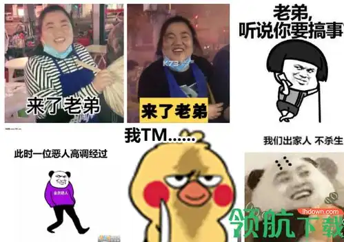 来了老弟表情包