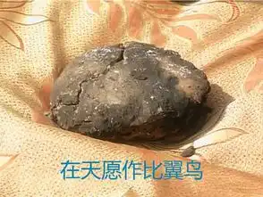 这片段让我们看得直流口水,五阿哥表情也是醉了