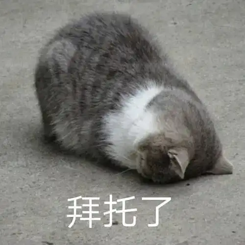 应届生考公失败,现在有两个选择有人可以帮忙看看吗