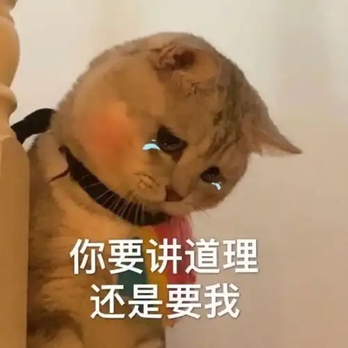搞笑文案短句