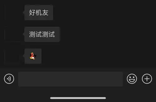 微信透明版上线朋友圈头像昵称表情,全都能成空白