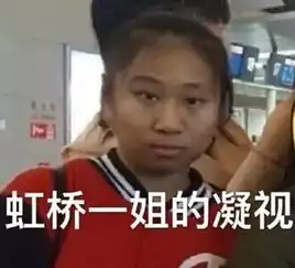 凤姐表情包搞笑图片透明厕所