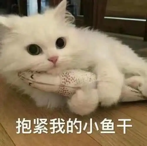 问贵州那边女孩子名字会有什么后果