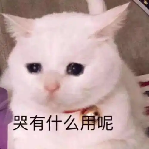 那些可怜又搞笑的舔狗语录