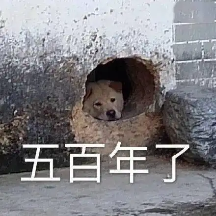 近期沙雕表情天青色等烟雨,而我在等快递