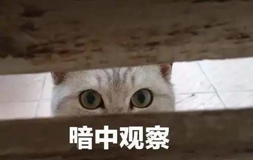 暗中观察表情包合集各种暗中观察,看看你往哪里逃