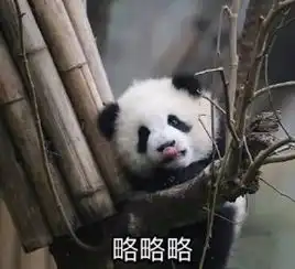 历时10年蜀龙路开通是时候重新审视这个板块的价值了