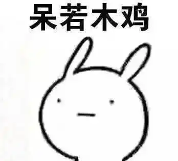 一脸懵比表情包gif