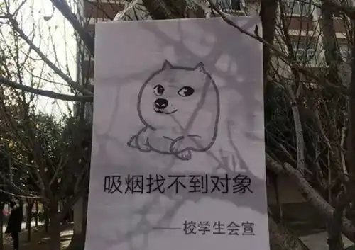 你好西安丨新闻早餐速递12月5日
