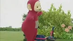 小波表情包合集