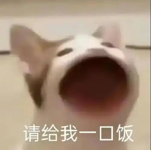 本组杜华女士在么