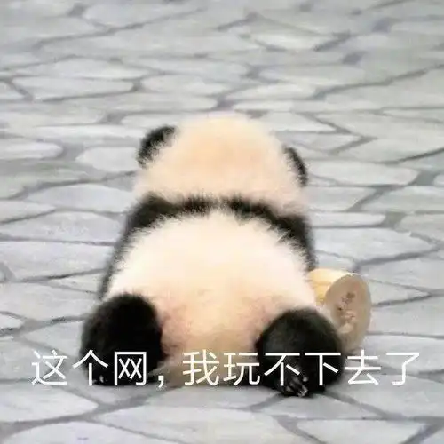 史上最全倒霉蛋动图集合,哈哈哈哈哈哈我笑不活了