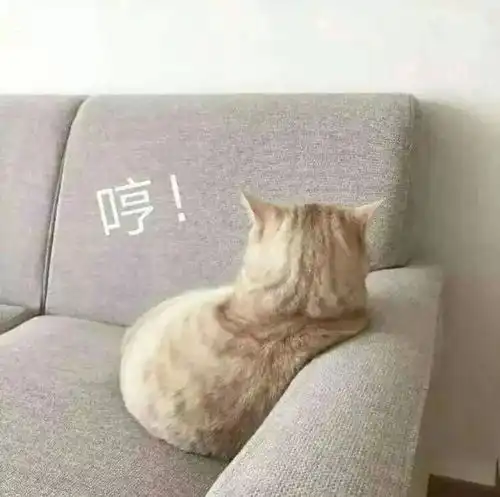 幽默搞笑表情包要抱抱