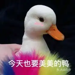电话,地址,价格,营业时间
