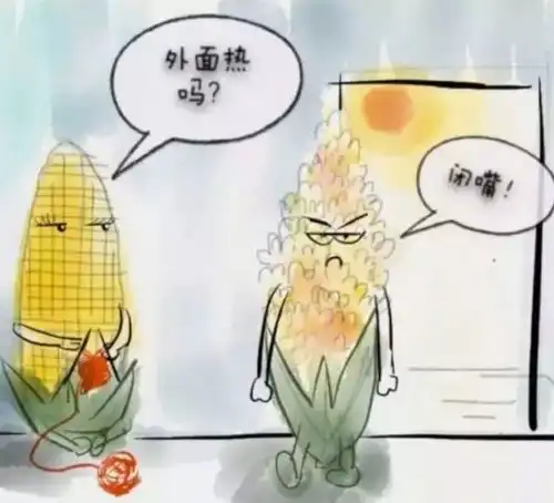 表情这个夏天到底有多热网友用表情包告诉你,一起去非洲避暑表情