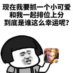 王者荣耀赛季末冲分必备,盘点c位脏玩法,十赛季巅峰王者力荐