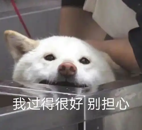 表情包再不喝奶茶我就要死了