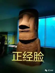 博物馆里奇特而耿直的藏品,好像不小心打开了搞笑表情包